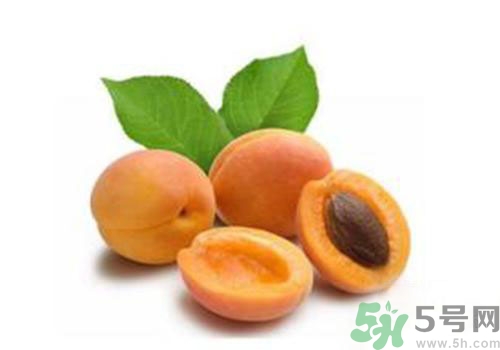 杏子上有黑點(diǎn)是怎么回事？杏子上有斑點(diǎn)可以吃嗎？