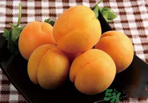 杏子皮可以吃嗎？吃杏子要剝皮嗎？