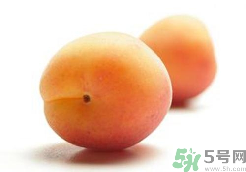 杏子有毒嗎？杏子吃了會中毒嗎？