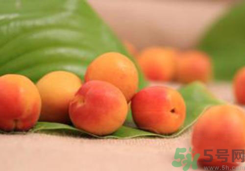 杏子有毒嗎？杏子吃了會中毒嗎？