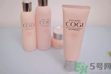 高姿大白水多少錢？高姿大白水適合什么年齡？