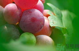 葡萄上有黑點能吃嗎?葡萄上有黑點可以吃嗎? 葡萄上有黑點能吃嗎?葡萄上有黑點可以吃嗎?