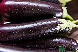 吃茄子有什么壞處？吃茄子的禁忌有哪些？