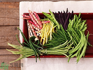 痛風(fēng)能吃豆角嗎？痛風(fēng)吃豆角行嗎？