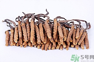 冬蟲(chóng)夏草真假怎么鑒別？冬蟲(chóng)夏草怎么吃效果最好？