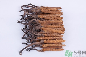 冬蟲(chóng)夏草真假怎么鑒別？冬蟲(chóng)夏草怎么吃效果最好？