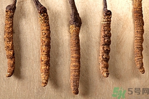 冬蟲夏草真假怎么鑒別？冬蟲夏草怎么吃效果最好？