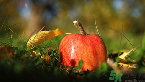 掉地上3秒東西能吃嗎？掉地上東西要不要撿起來吃？