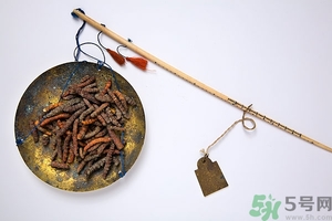 冬蟲夏草真假怎么鑒別？冬蟲夏草怎么吃效果最好？