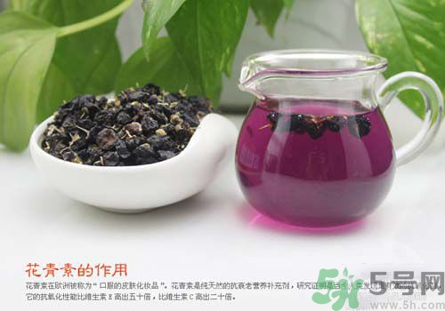 黑枸杞泡水是什么顏色？黑枸杞泡水是紫色的嗎？