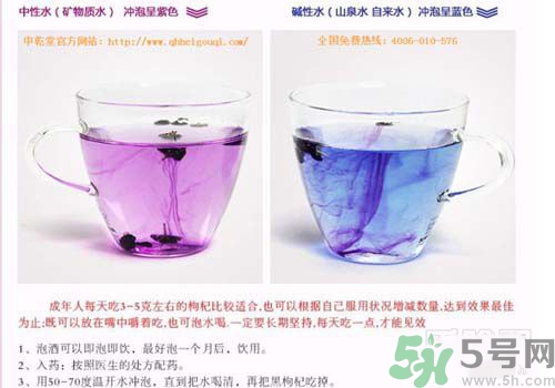 黑枸杞怎么辨別真假？怎么挑選黑枸杞？