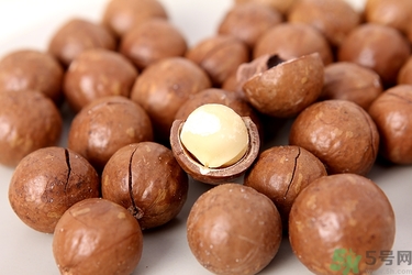 夏威夷果沒有開果器怎么開殼？夏威夷果縫怎么來的？