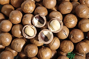 夏威夷果什么時(shí)候成熟上市？腰果和夏威夷果的區(qū)別