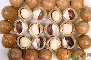 夏威夷果產地在哪里？夏威夷果為什么有奶香？