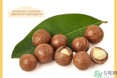 夏威夷果肉黏殼怎么辦？夏威夷果能放多久？