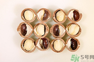 夏威夷果什么時候成熟上市？腰果和夏威夷果的區(qū)別