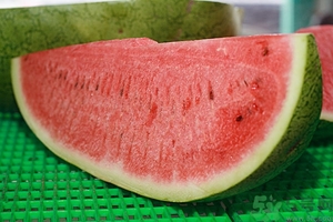 西瓜吃著苦是怎么回事？西瓜苦能不能吃？