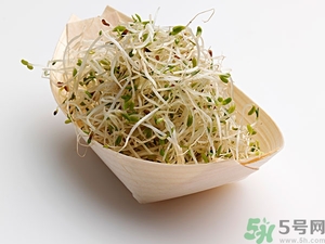 豆芽可以生吃嗎？豆芽炒粉條的家常做法