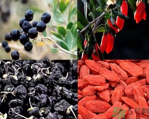 黑枸杞和紅枸杞有什么區(qū)別？黑枸杞和紅枸杞哪個好？