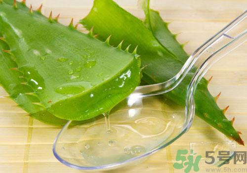 蘆薈膠要洗臉嗎？用完蘆薈膠要不要洗臉？