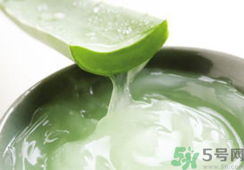 孕婦可以用蘆薈膠嗎？蘆薈膠孕婦可以用嗎？