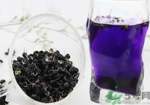 黑枸杞能用開水泡嗎？黑枸杞的沖泡方法