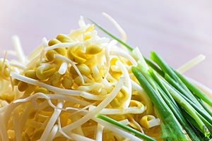 吃豆芽會胖嗎？豆芽會不會讓人長胖？