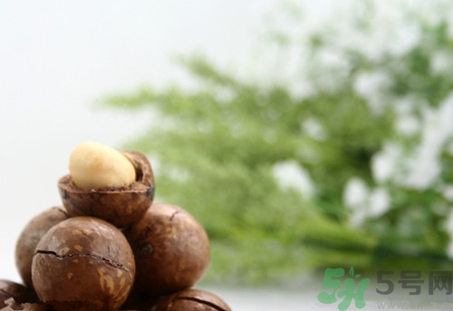 夏威夷果可以生吃嗎?生吃夏威夷果會怎么樣 夏威夷果可以生吃嗎?生吃夏威夷果會怎么樣