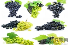葡萄種植的基本流程？葡萄種植的方法？