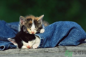 睡眠不規(guī)律如何調(diào)整？睡眠不規(guī)律會胖嗎？