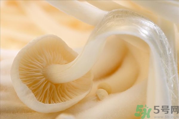 致癌金針菇怎么鑒別？如何選購(gòu)金針菇？