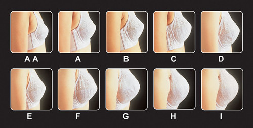 d罩杯摸著什么感覺?d罩杯的手感圖 d罩杯摸著什么感覺?d罩杯的手感圖