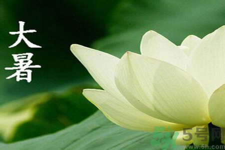 大暑是入伏嗎？大暑是最熱的時候嗎？