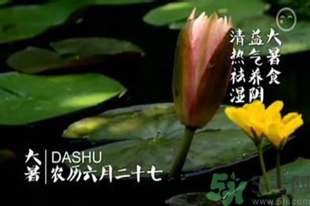 大暑吃什么養(yǎng)生？大暑吃什么好？