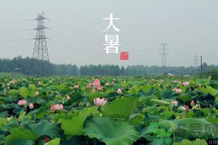 大暑吃什么養(yǎng)生？大暑吃什么好？