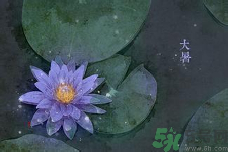 大暑吃什么養(yǎng)生？大暑吃什么好？