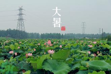 大暑吃什么水果？大暑吃什么水果養(yǎng)生？