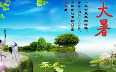 大暑吃什么食物養(yǎng)生 大暑吃羊肉有什么好處