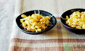 黃豆芽能涼拌嗎？涼拌黃豆芽的家常做法