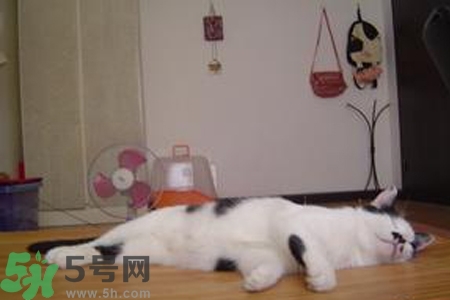 夏天睡涼席好嗎？夏天睡涼席好不好？