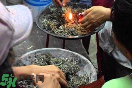 夏天可以用艾草驅(qū)蚊嗎？夏天可不可以用艾草驅(qū)蚊？