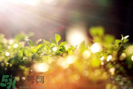 三伏天什么時(shí)候結(jié)束？三伏天是哪幾天？