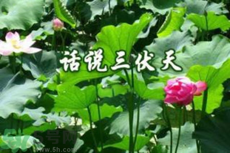 三伏天吃什么？三伏天傳統(tǒng)美食有哪些？