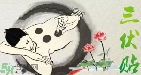 三伏貼的印子怎么去掉？三伏貼的印記多久才會(huì)消失？