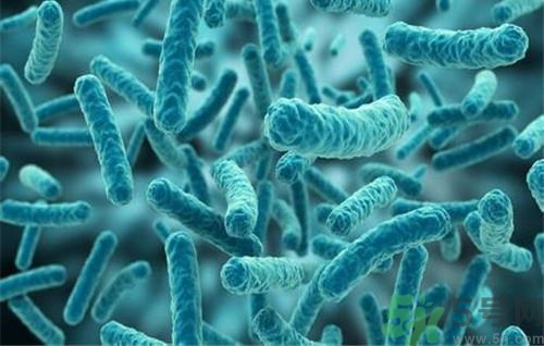 全國首例裂谷熱病 裂谷熱病是什么??？