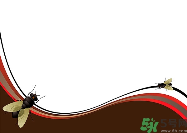 小飛蟲怎么消滅？小飛蟲怎么生出來的？