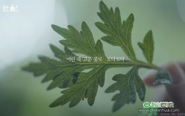 韓律艾草補水鎮(zhèn)靜噴霧怎么樣？好用嗎？