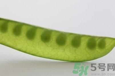 煮豌豆怎么做好吃？煮豌豆的做法