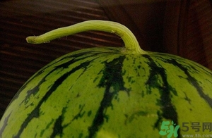 西瓜打針是真的嗎？西瓜打藥了是什么樣子？