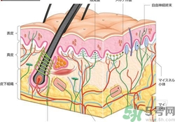 大熱天不出汗什么原因？夏天不出汗怎么辦？